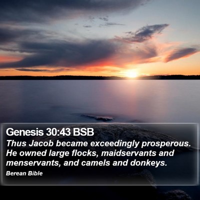 Genesis 30:43 BSB Bible Verse Image