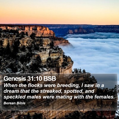 Genesis 31:10 BSB Bible Verse Image