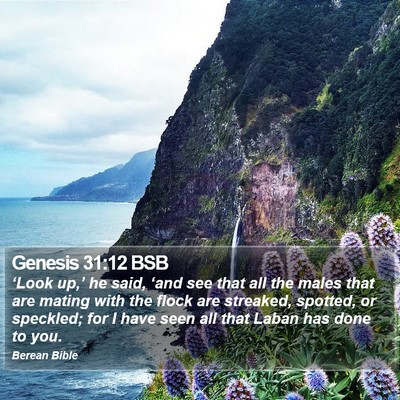 Genesis 31:12 BSB Bible Verse Image