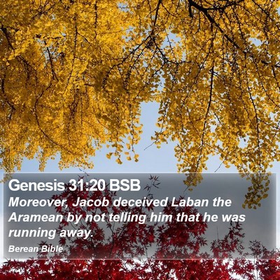 Genesis 31:20 BSB Bible Verse Image