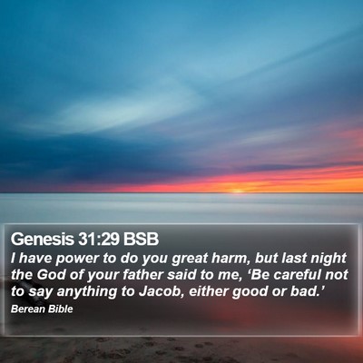 Genesis 31:29 BSB Bible Verse Image