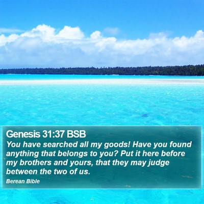 Genesis 31:37 BSB Bible Verse Image