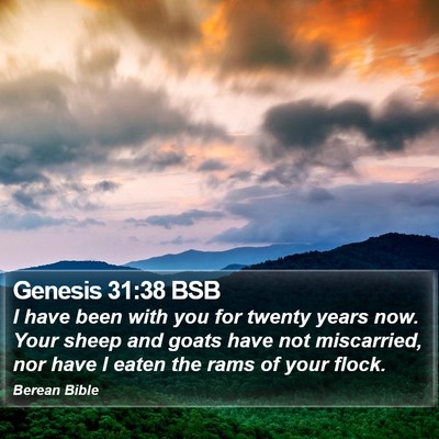 Genesis 31:38 BSB Bible Verse Image