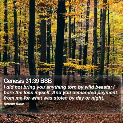 Genesis 31:39 BSB Bible Verse Image
