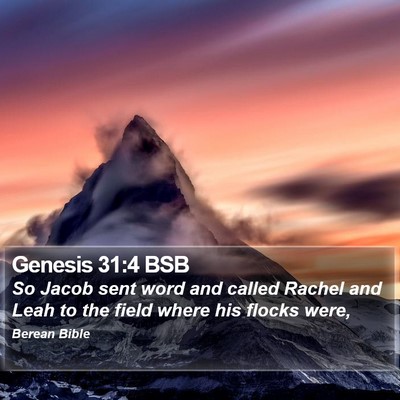 Genesis 31:4 BSB Bible Verse Image