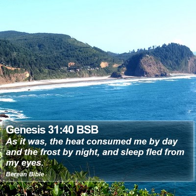 Genesis 31:40 BSB Bible Verse Image