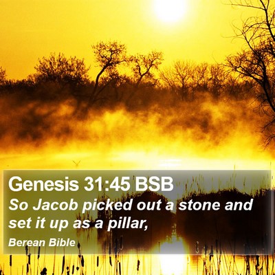 Genesis 31:45 BSB Bible Verse Image