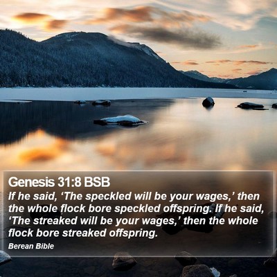 Genesis 31:8 BSB Bible Verse Image