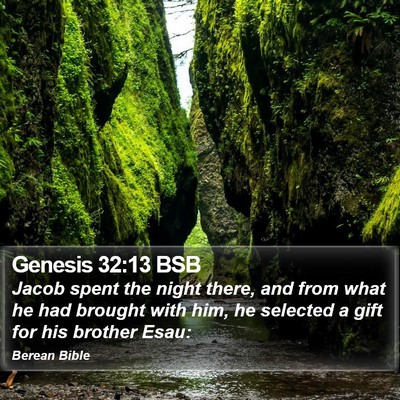 Genesis 32:13 BSB Bible Verse Image