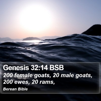 Genesis 32:14 BSB Bible Verse Image