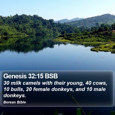 Genesis 32:15 BSB Bible Verse Image
