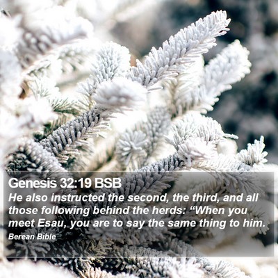 Genesis 32:19 BSB Bible Verse Image