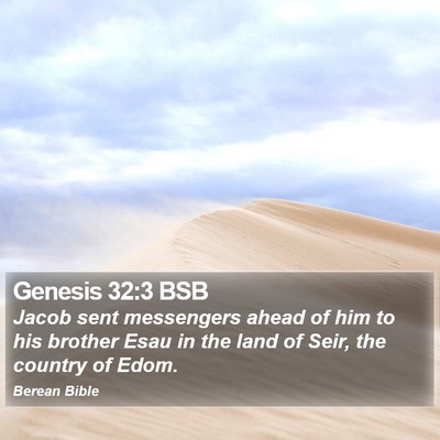 Genesis 32:3 BSB Bible Verse Image