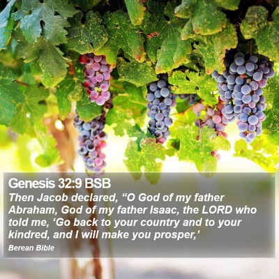 Genesis 32:9 BSB Bible Verse Image