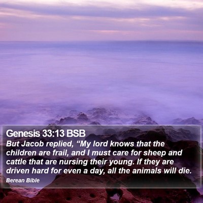 Genesis 33:13 BSB Bible Verse Image
