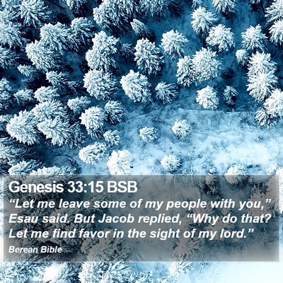Genesis 33:15 BSB Bible Verse Image