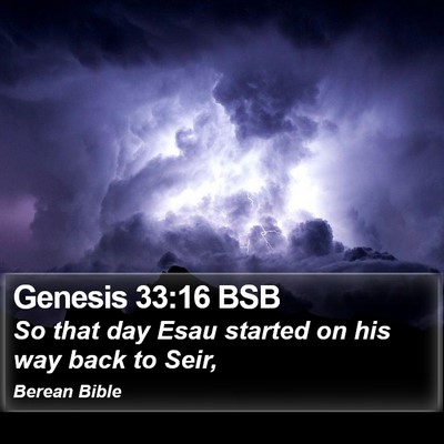 Genesis 33:16 BSB Bible Verse Image