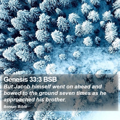 Genesis 33:3 BSB Bible Verse Image