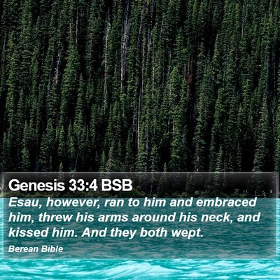 Genesis 33:4 BSB Bible Verse Image