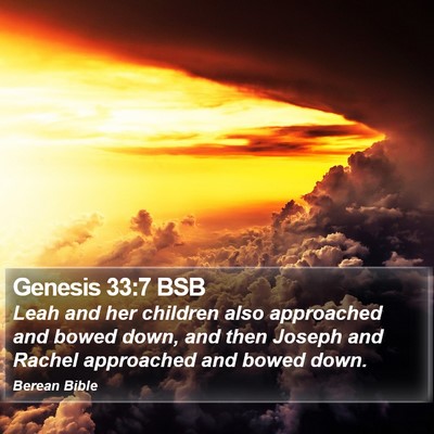 Genesis 33:7 BSB Bible Verse Image