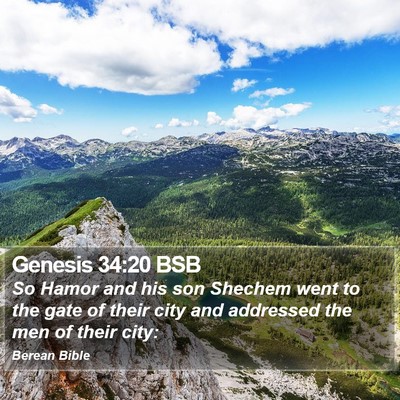 Genesis 34:20 BSB Bible Verse Image