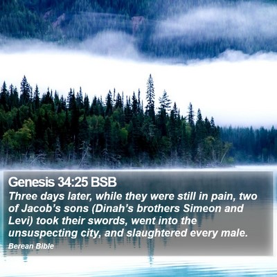 Genesis 34:25 BSB Bible Verse Image