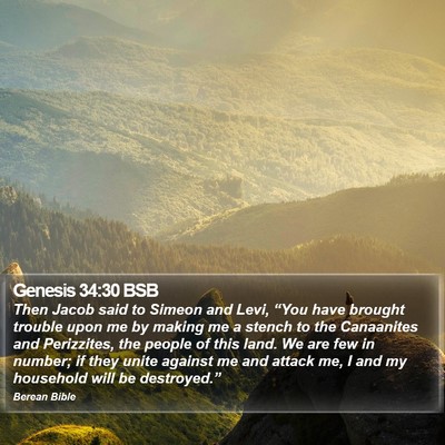 Genesis 34:30 BSB Bible Verse Image