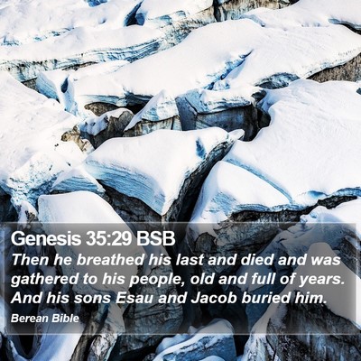 Genesis 35:29 BSB Bible Verse Image