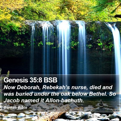 Genesis 35:8 BSB Bible Verse Image