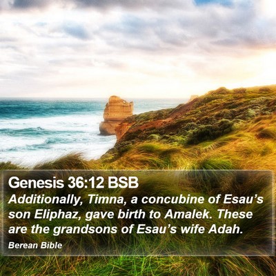 Genesis 36:12 BSB Bible Verse Image