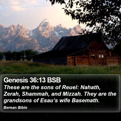 Genesis 36:13 BSB Bible Verse Image