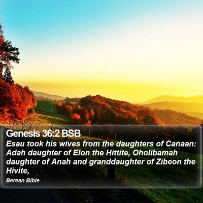 Genesis 36:2 BSB Bible Verse Image