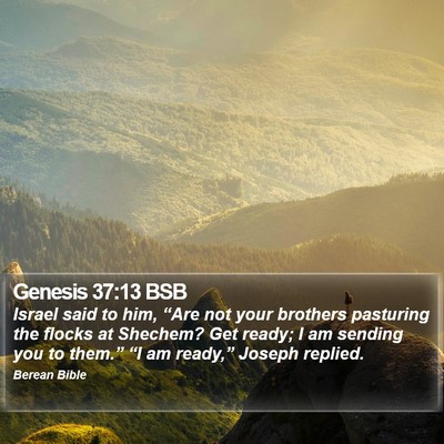 Genesis 37:13 BSB Bible Verse Image