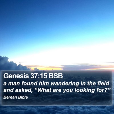 Genesis 37:15 BSB Bible Verse Image