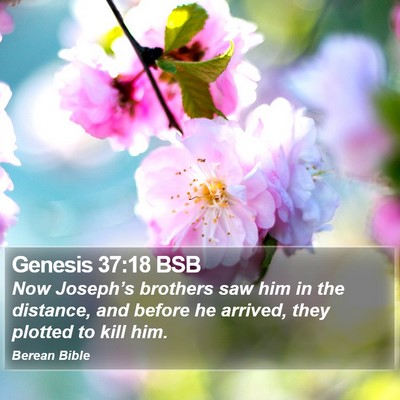 Genesis 37:18 BSB Bible Verse Image