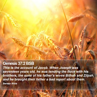 Genesis 37:2 BSB Bible Verse Image