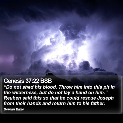 Genesis 37:22 BSB Bible Verse Image