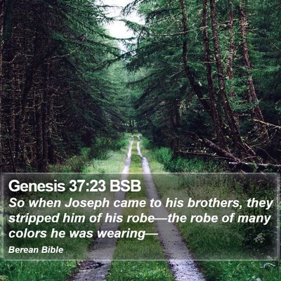 Genesis 37:23 BSB Bible Verse Image
