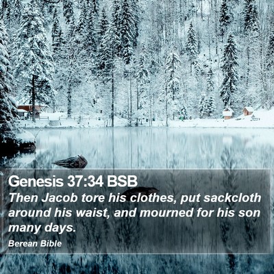Genesis 37:34 BSB Bible Verse Image
