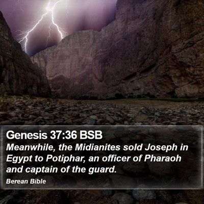 Genesis 37:36 BSB Bible Verse Image