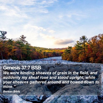 Genesis 37:7 BSB Bible Verse Image