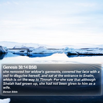 Genesis 38:14 BSB Bible Verse Image