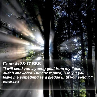 Genesis 38:17 BSB Bible Verse Image