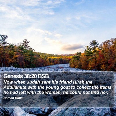Genesis 38:20 BSB Bible Verse Image