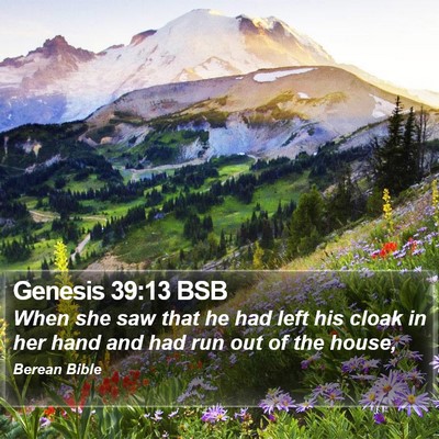 Genesis 39:13 BSB Bible Verse Image