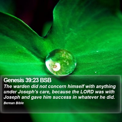 Genesis 39:23 BSB Bible Verse Image