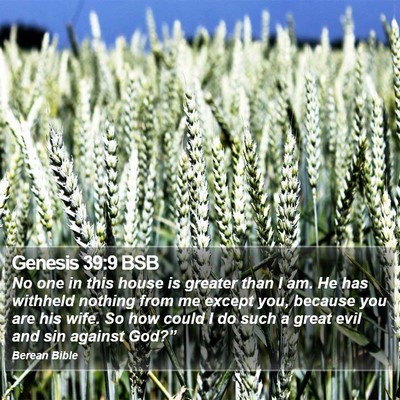 Genesis 39:9 BSB Bible Verse Image