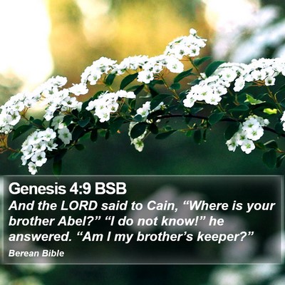 Genesis 4:9 BSB Bible Verse Image