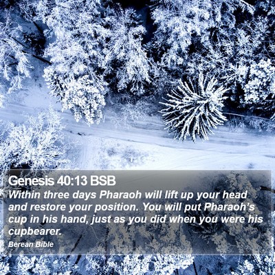 Genesis 40:13 BSB Bible Verse Image
