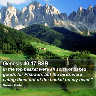 Genesis 40:17 BSB Bible Verse Image